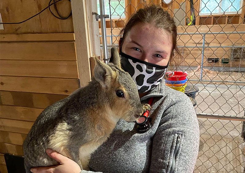 Carousel Slide 6: Small mammal care